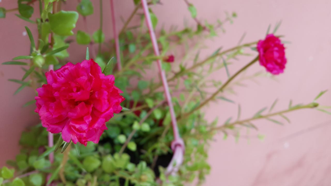 Pama Hotel Kampong Chhnang Εξωτερικό φωτογραφία